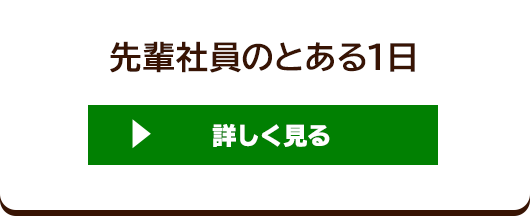 先輩社員のとある1日